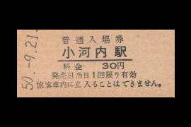 小河内入場券